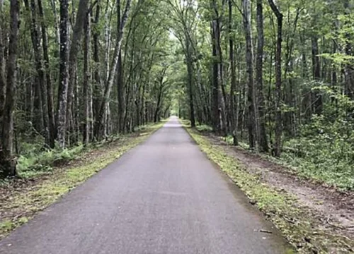 Baldwin Trail