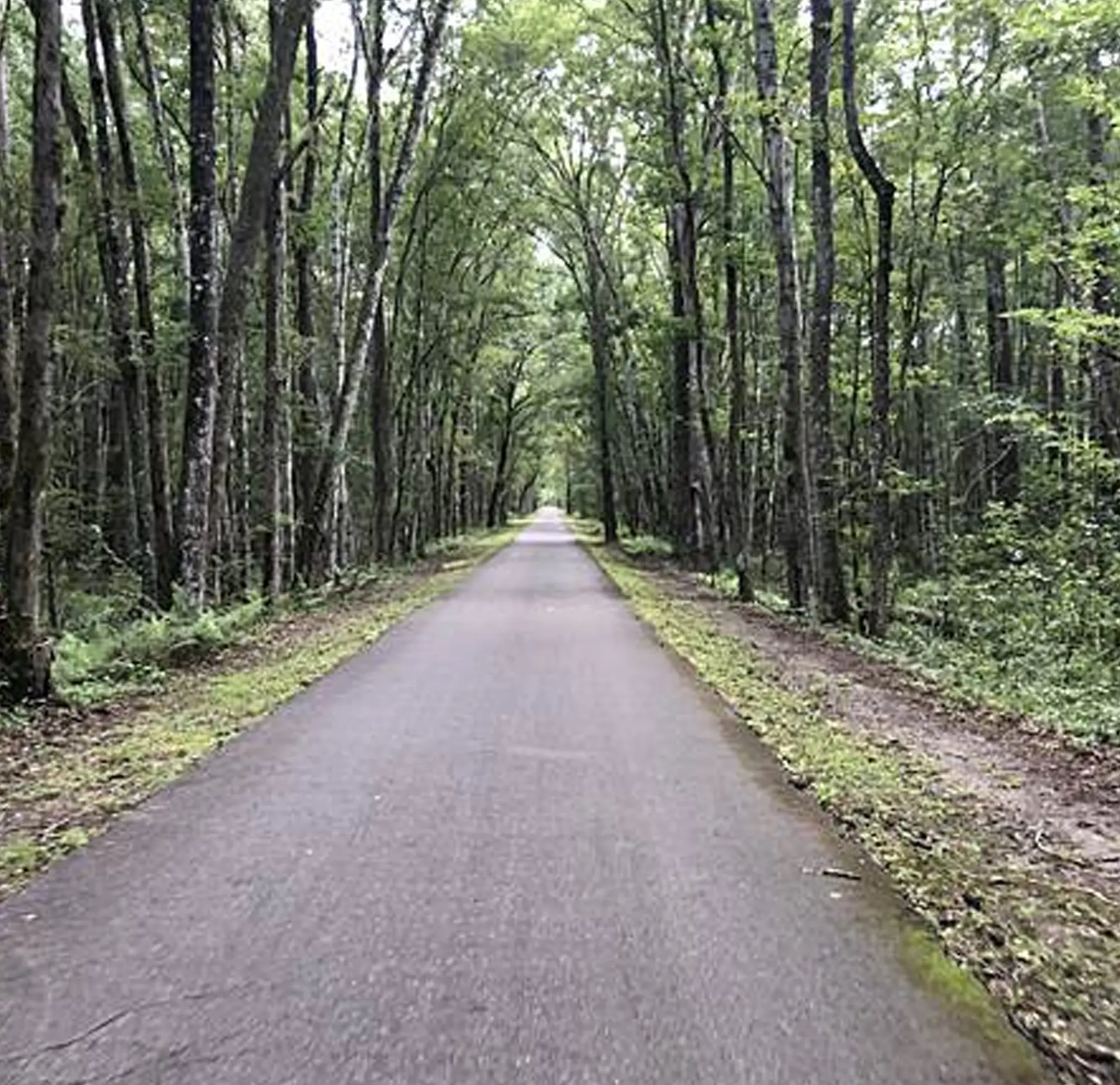 Baldwin Trail