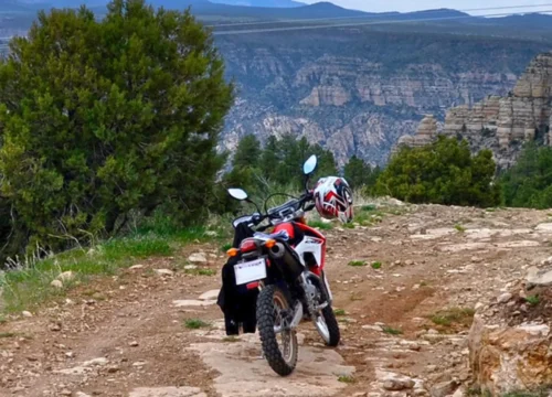 Coconino National Forest ATV Ride