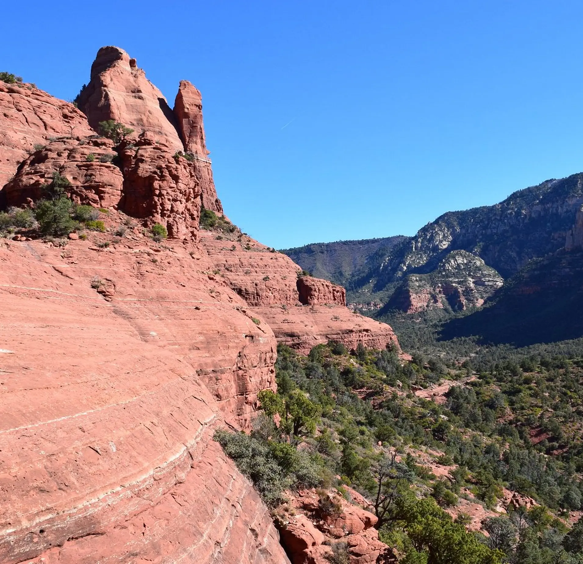 Hangover Trail