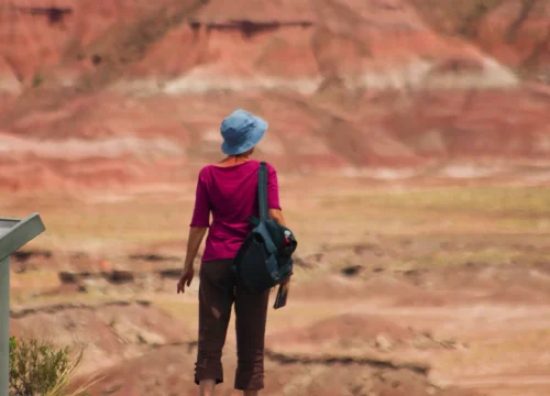 Petrified Forest Hiking Adventure