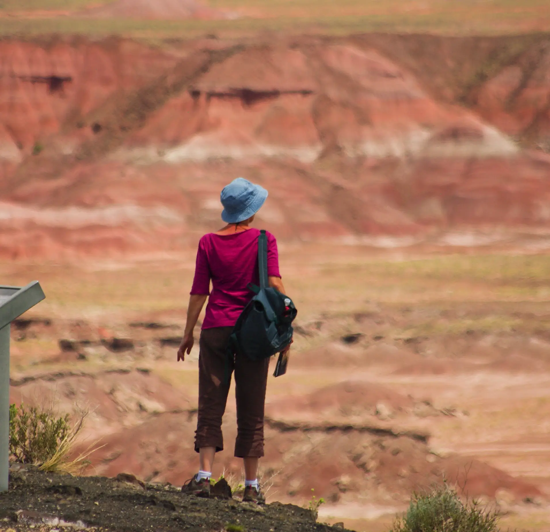Petrified Forest Hiking Adventure