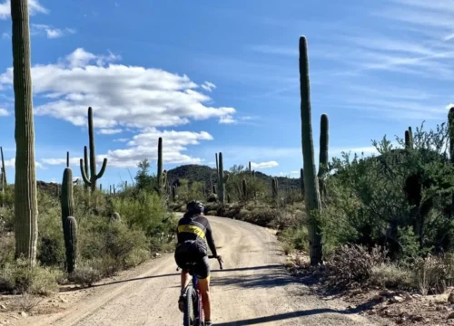 Saguaro National Park Bike Ride