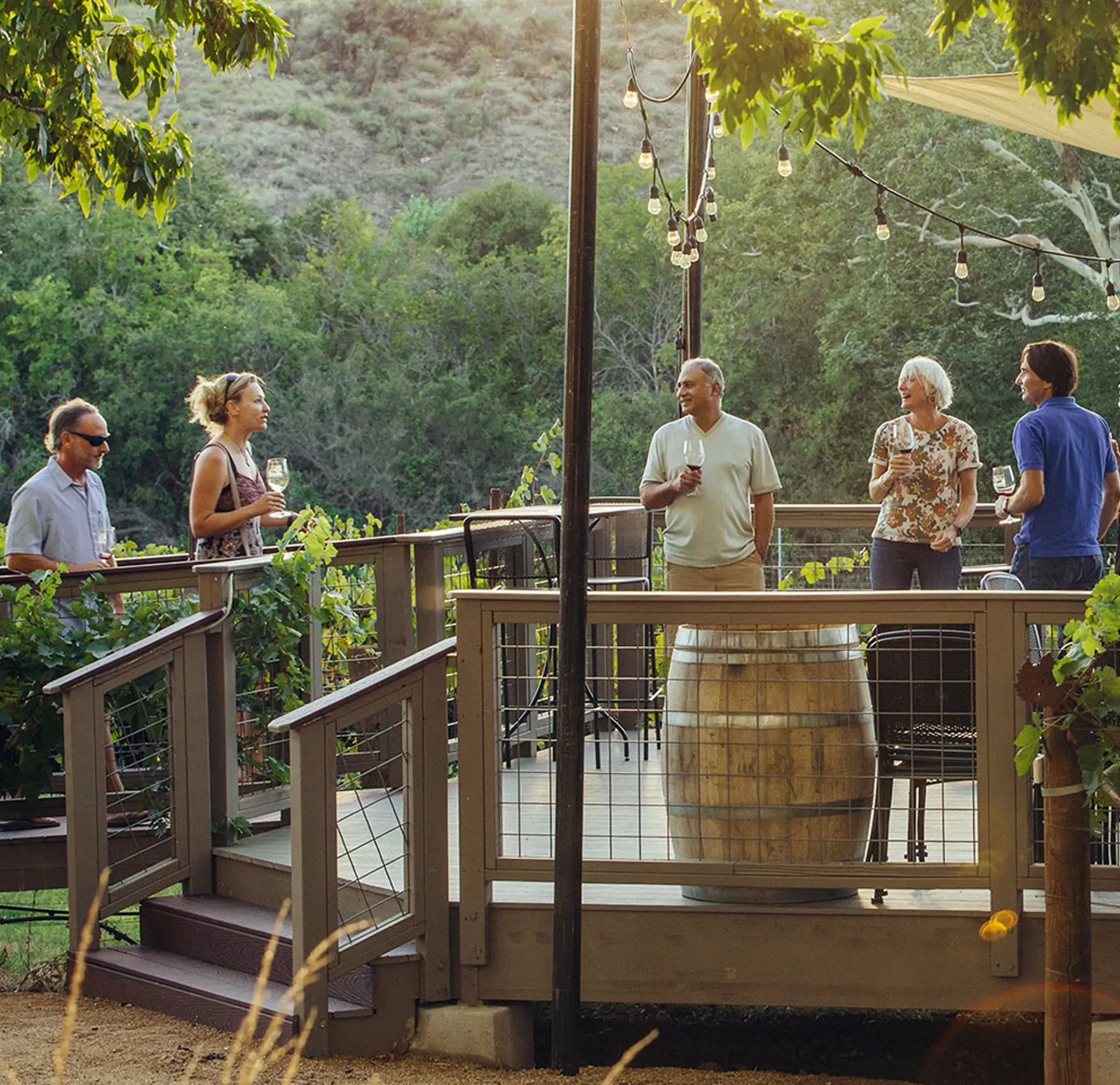 Verde Valley Wine Tasting Tour