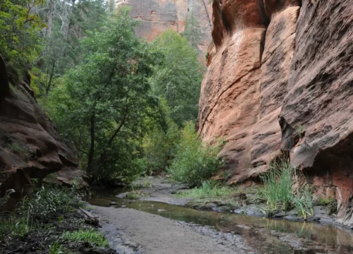 West Fork Oak Creek Trail