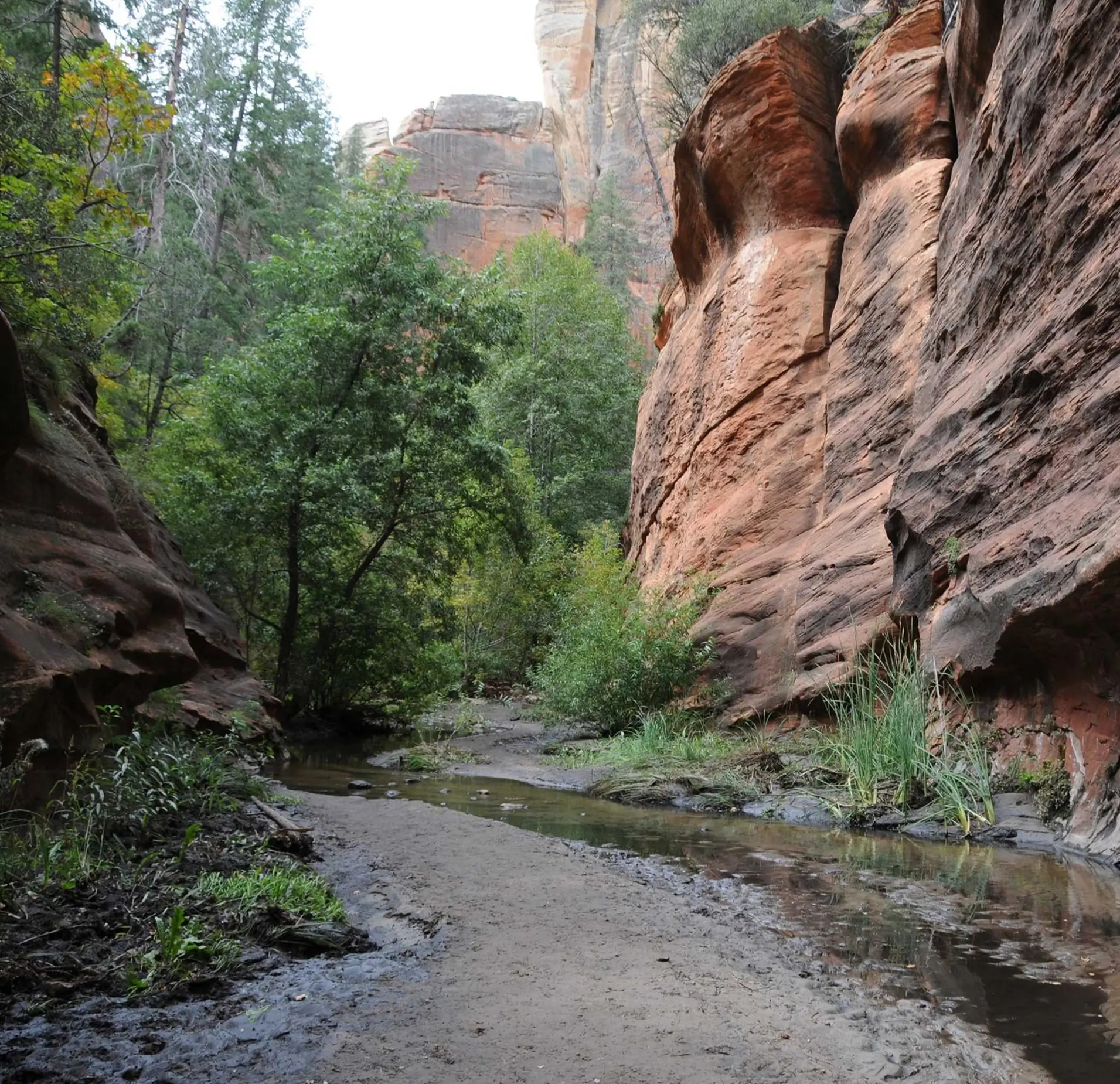 West Fork Oak Creek Trail
